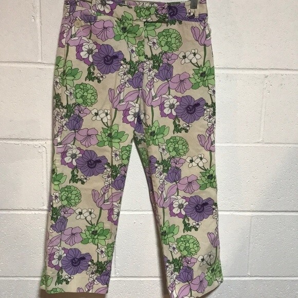 Ann Taylor Loft Capris 4 PT - Picture 1 of 7